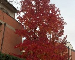 IMG_20141108_105149_529