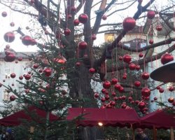 IMG_20141209_154219_878