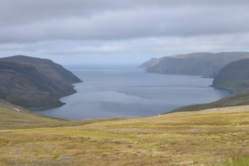 DSC_0627.JPG
